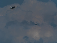 E-M5MarkII-20150607-135103-0