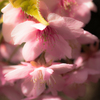 20160227-104153-0-E-M5MarkII