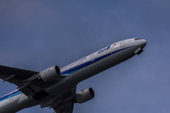 NIKON D810-20150620-082251-0