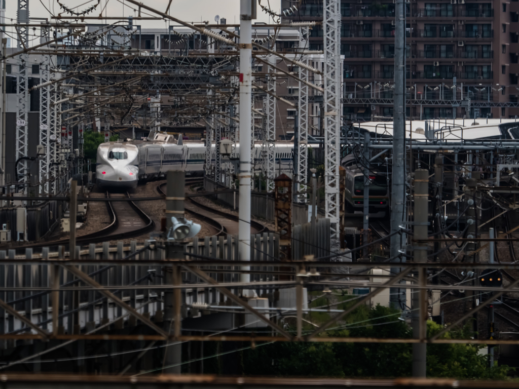 E-M5MarkII-20150606-143059-0