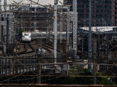 E-M5MarkII-20150606-143059-0