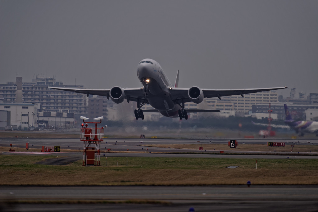 20151226-120810-0-NIKON D810