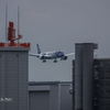 NIKON D7200-20151031-110958-0