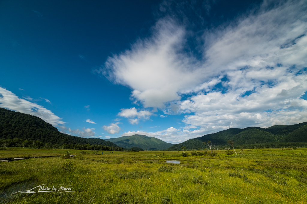 NIKON D810-20150822-082715-0