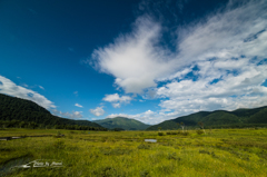 NIKON D810-20150822-082715-0