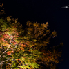 NIKON D810-20151025-181534-0