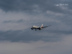 20151129-135438-0-E-M5MarkII
