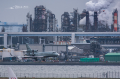 NIKON D7200-20151031-100433-0