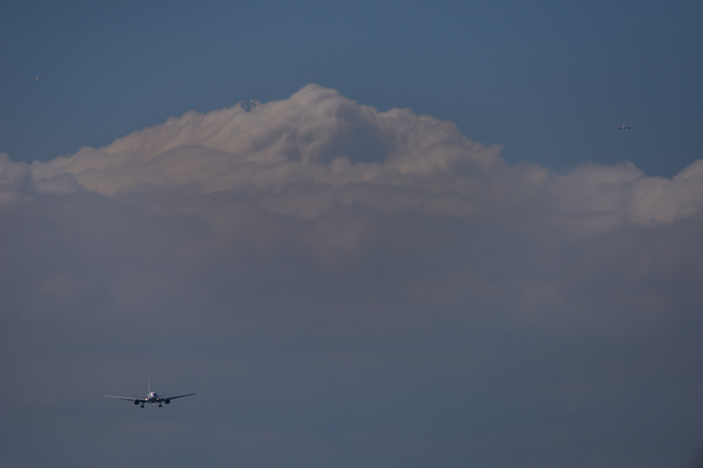 NIKON D810-20150620-083410-0