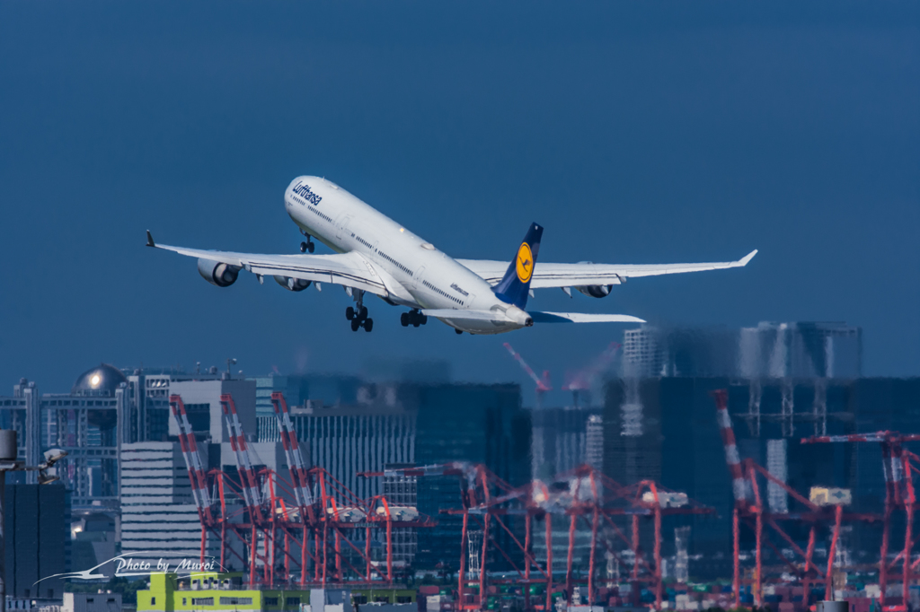 NIKON D7200-20150823-124843-0
