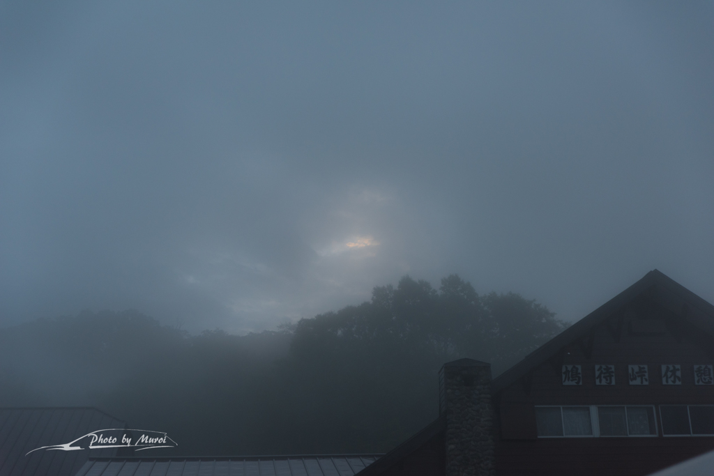 NIKON D810-20150822-051251-0