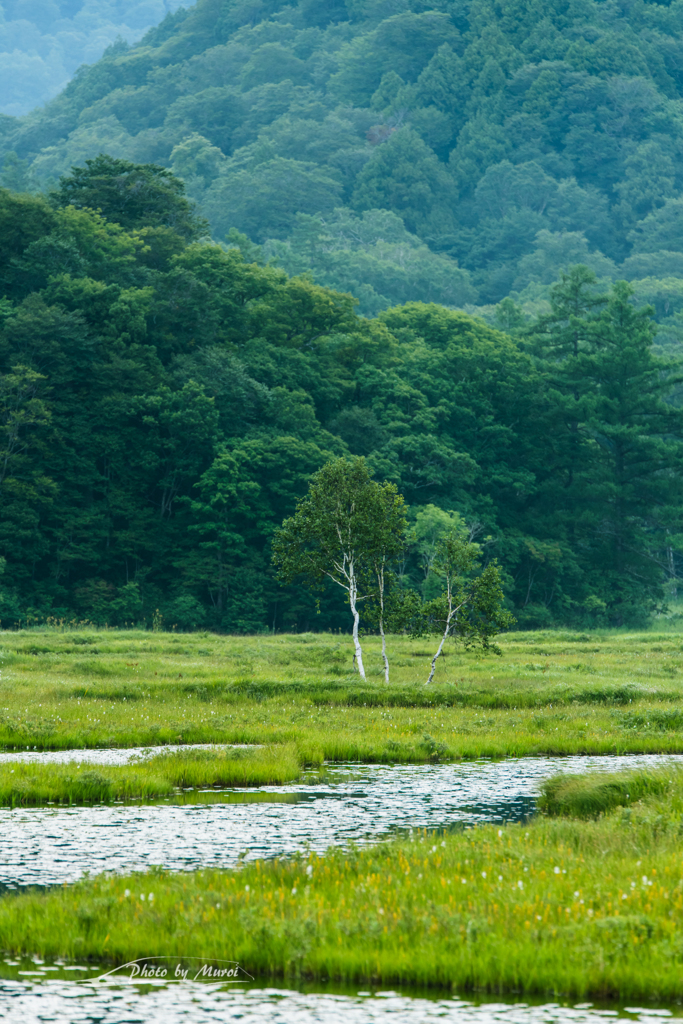 NIKON D810-20150822-065712-0