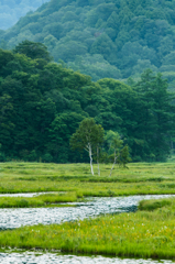 NIKON D810-20150822-065712-0