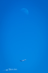NIKON D7200-20150823-135555-0