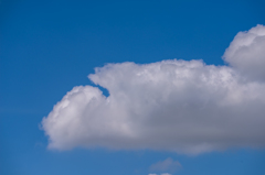 NIKON D810-20150620-091107-0