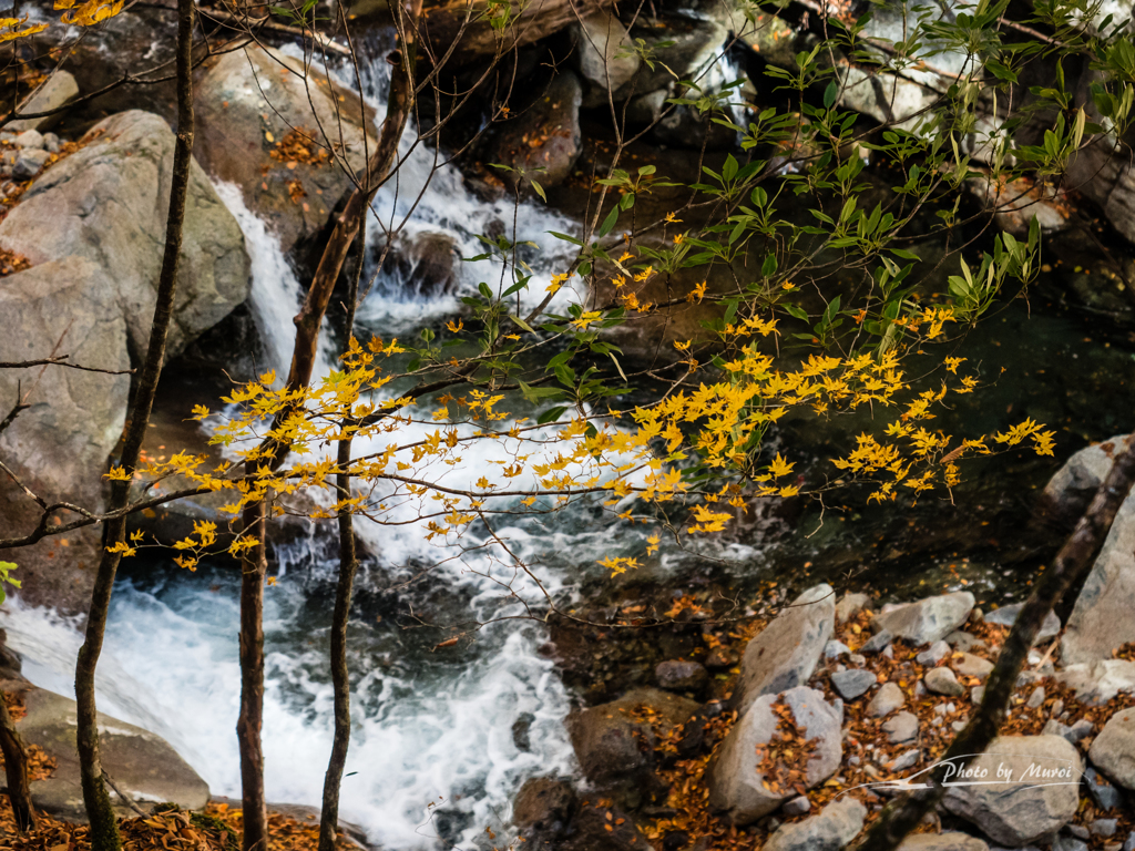 E-M5MarkII-20151025-095547-0