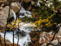 E-M5MarkII-20151025-095547-0