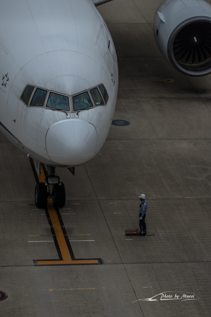 NIKON D810-20151010-111107-0
