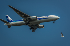NIKON D7200-20150711-130524-0