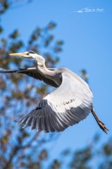 20151103-112029-0-NIKON D7200