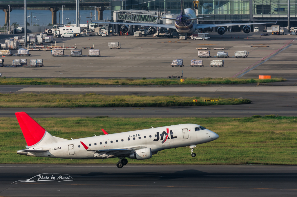 NIKON D7200-20151012-073906-0