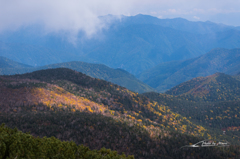 NIKON D810-20151004-104953-0
