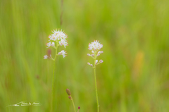NIKON D810-20150822-062229-0