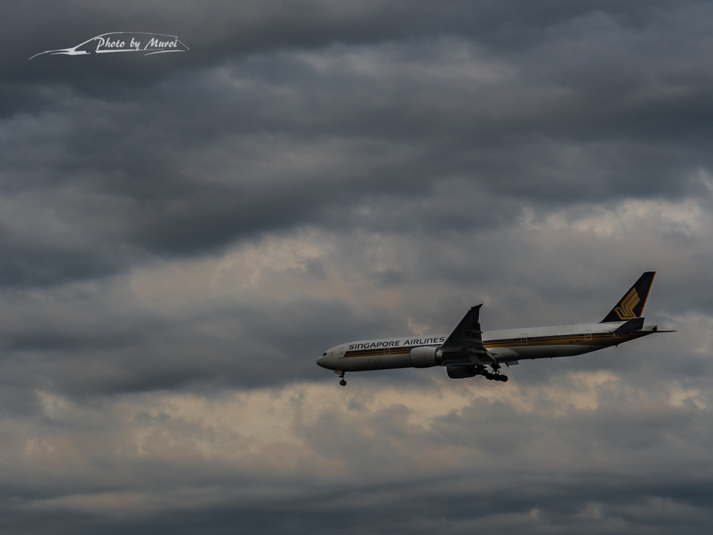 20151129-151615-0-E-M5MarkII