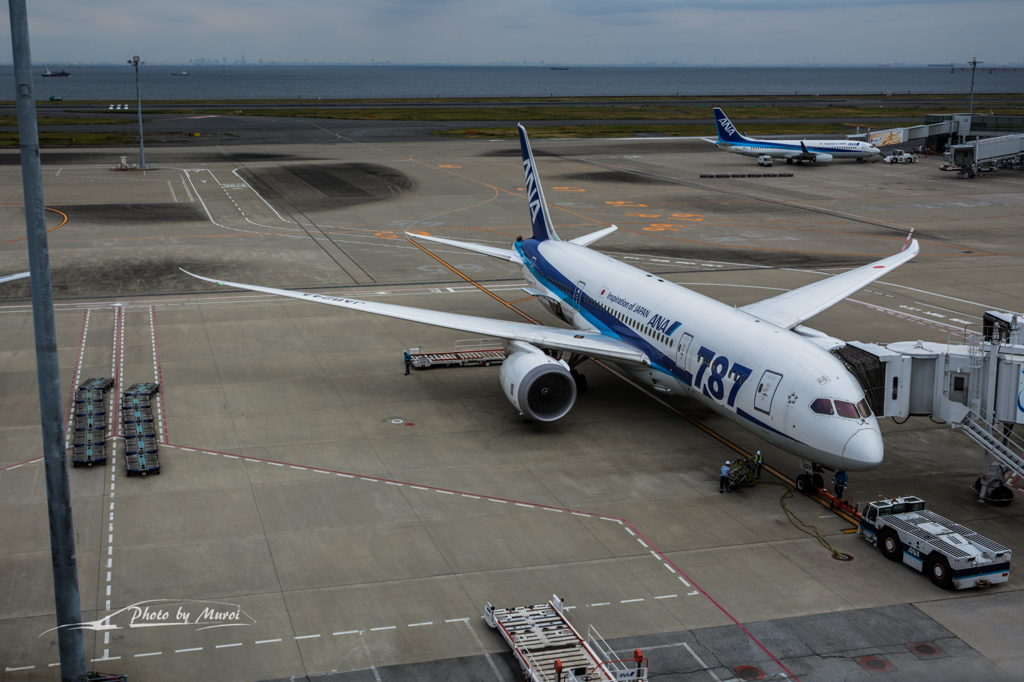 NIKON D7200-20151031-112435-0