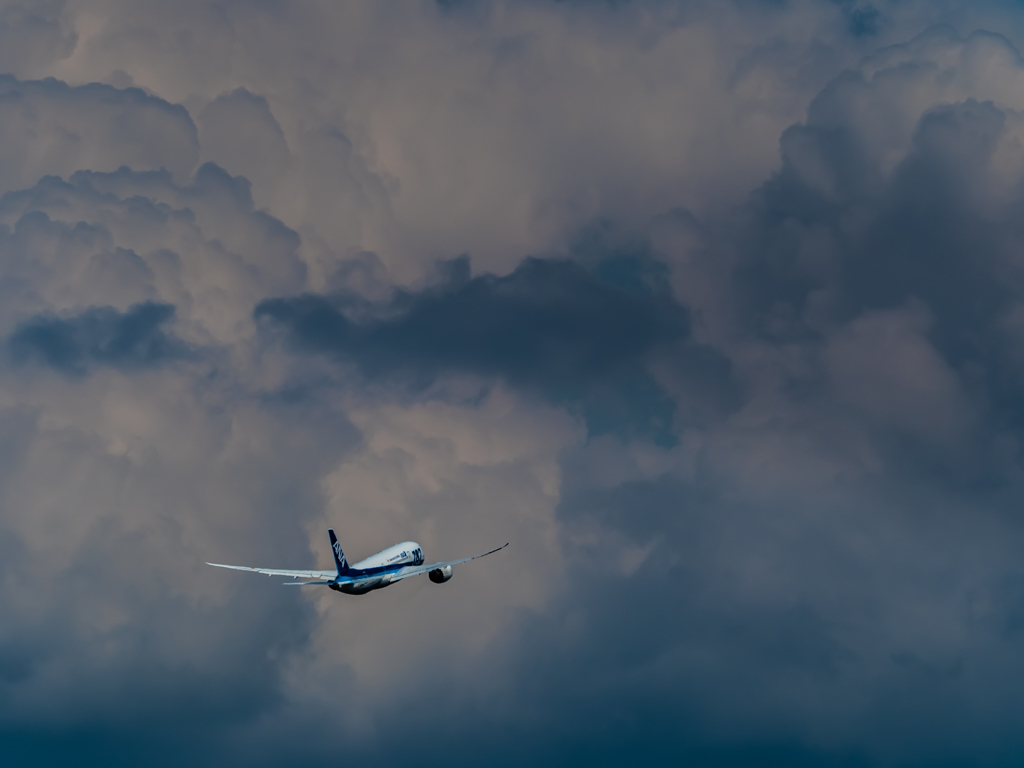 E-M5MarkII-20150607-134556-0