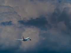 E-M5MarkII-20150607-134556-0