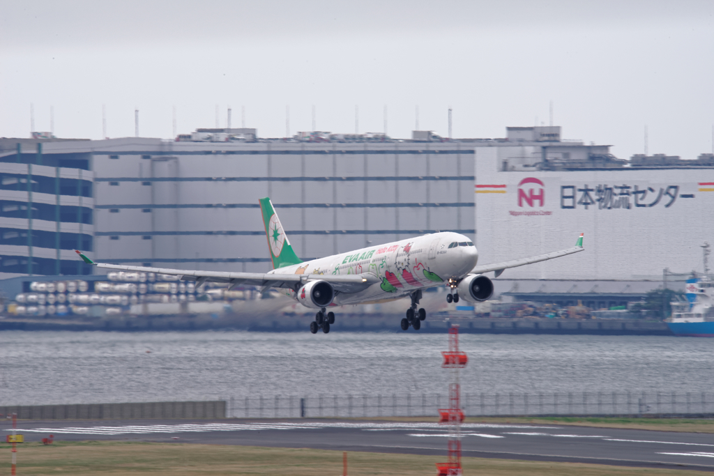 20160312-105603-0-NIKON D810