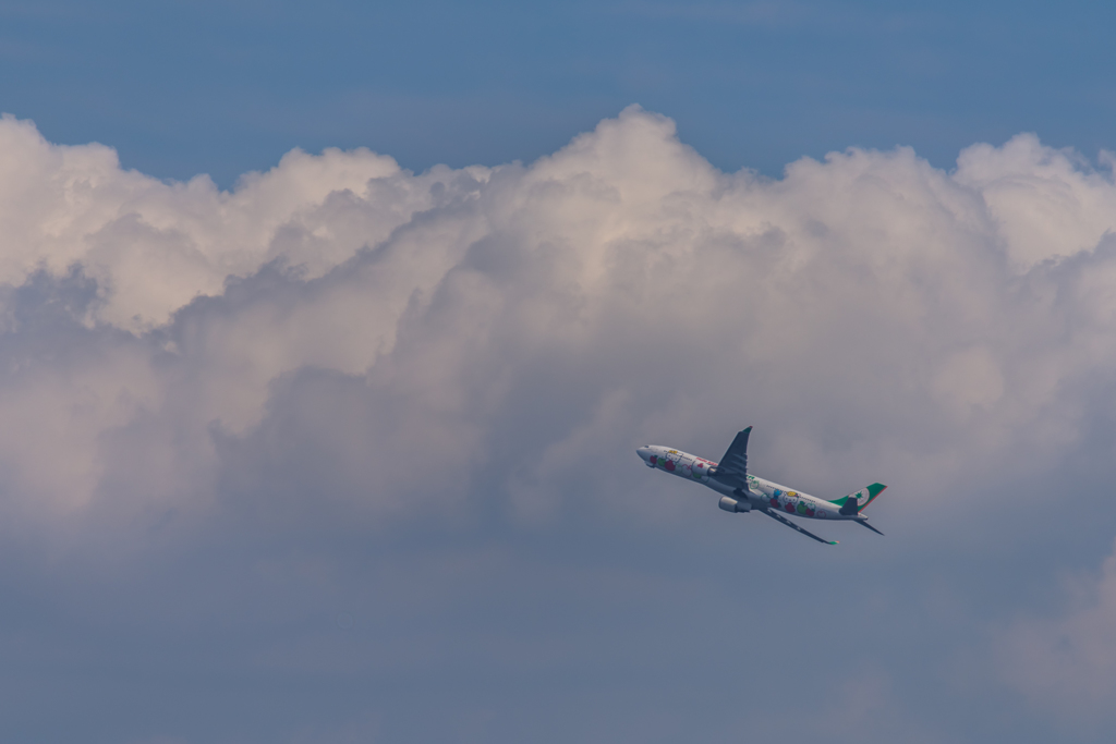 NIKON D810-20150620-130246-0