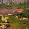 NIKON D810-20151004-121614-0