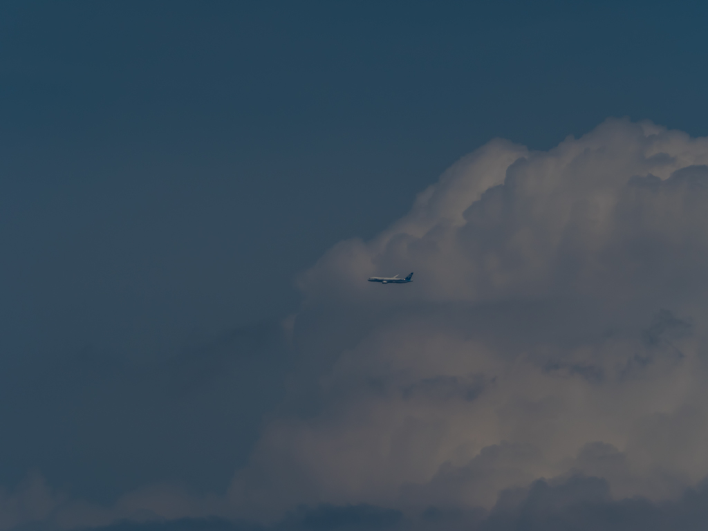 E-M5MarkII-20150607-134801-0