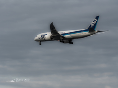 20151129-135305-0-E-M5MarkII
