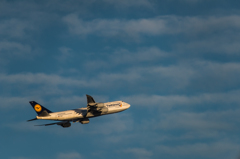 20151205-154507-0-NIKON D810