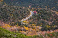 NIKON D810-20151004-104833-0