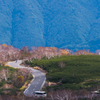 NIKON D810-20151004-111932-0