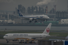 NIKON D810-20151010-105217-0