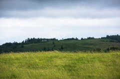 NIKON D810-20150719-113139-0