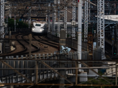 E-M5MarkII-20150606-144426-0