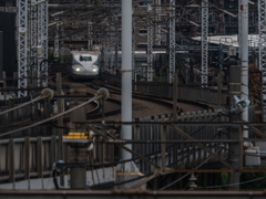 E-M5MarkII-20150606-152341-0