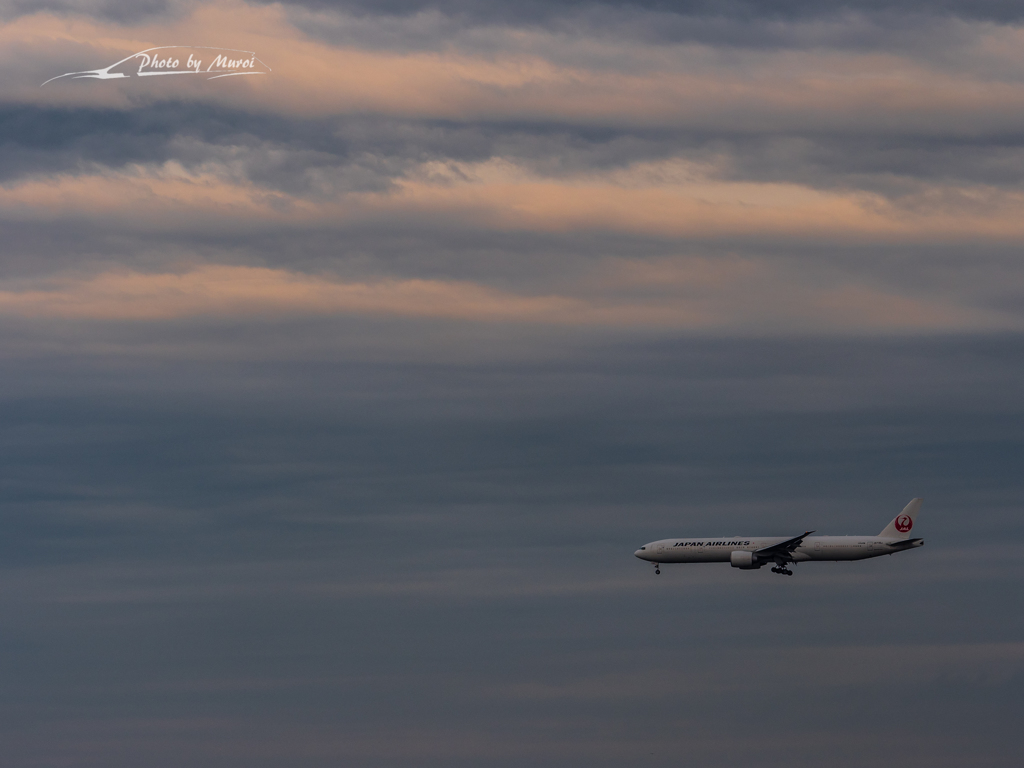 20151129-145323-0-E-M5MarkII