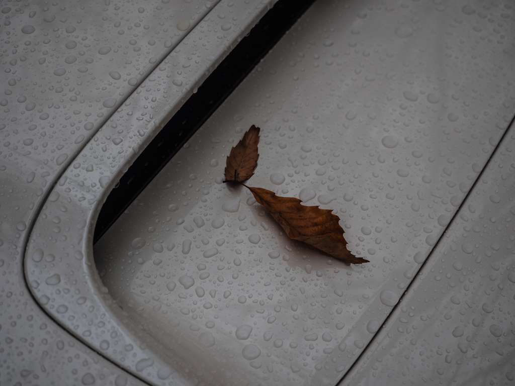 20151114-081921-0-E-M5MarkII