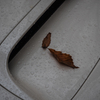 20151114-081921-0-E-M5MarkII