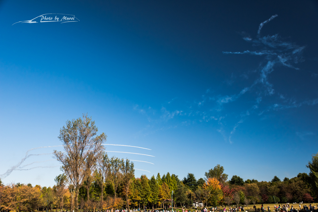 20151103-140954-0-NIKON D810