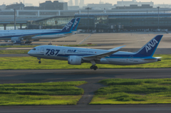 NIKON D7200-20150815-172901-0