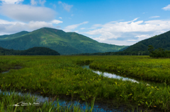 NIKON D810-20150822-075440-0