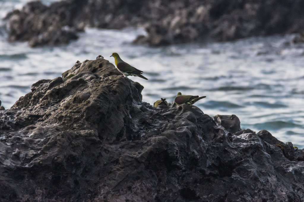 NIKON D7200-20150725-064309-0